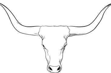 Minimalist line art illustration of a bull's head with prominent, curved horns. Western cattle drawing, black and white vector graphic.