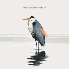Obraz premium Elegant heron standing in water, minimalist wildlife poster, calm nature scene, coastal wetland bird illustration, vector