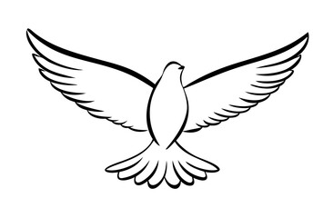 Obraz premium Elegant flying dove line art drawing, a symbol of peace, freedom, and hope. Simple black and white bird illustration with spread wings.