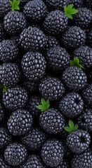 Fresh Organic Blackberries with Green Leaves as a Healthy Food Background