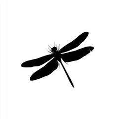 Silhouette dragonfly