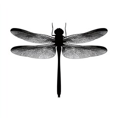 Dragonfly silhouette design