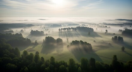 Obraz premium Ethereal landscape panorama with ground fog and sunrays piercing through trees at dawn creating a serene view