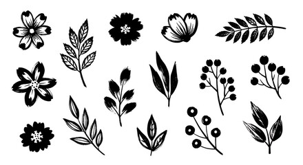 Black and White Floral and Botanical Brush Stroke Elements.