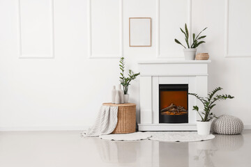 Interior of light living room with fireplace and houseplants near white wall