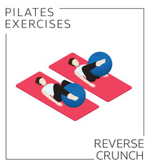 Pilates Ball Reverse Crunch Exercise Pose Vector