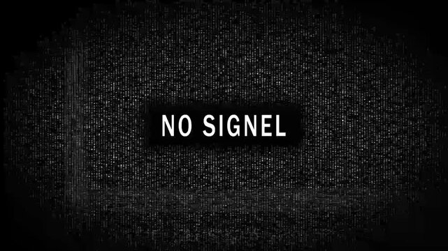 Glitchy static screen with N O S I G N A L text black and white analog interference broadcast disruption