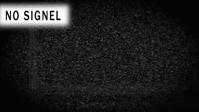 Glitchy black and white television static with prominent N O S I G N A L text overlay retro broadcast disruption concept