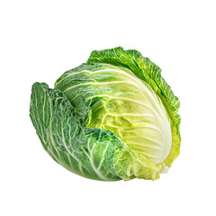 Fototapeta premium Close-up of a fresh head of cabbage