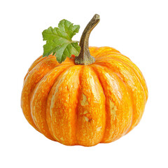 Small, orange pumpkin with green leaf (1)