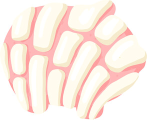 Cute Concha Illustration