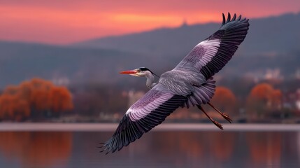 A Majestic Bird Soars Gracefully Over a Tranquil Mirror-Like Lake on a Serene Day of Reflection and Wonder