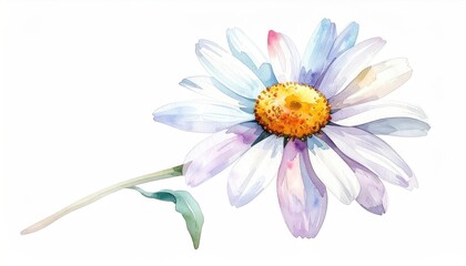 Watercolor daisy flower with white petals, yellow center, and green stem