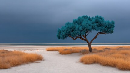 A Vibrant Lone Tree Resiliently Standing on a Sandy Beach Under a Dramatic Dark Sky Beyond Our Imagination