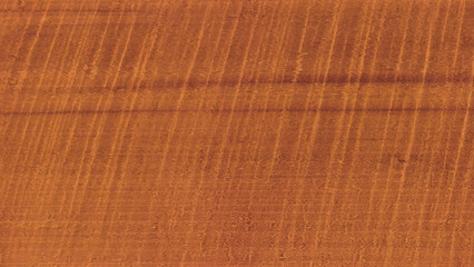Fototapeta premium Wooden background. Wood Texture Background. Brown wood texture background coming from natural tree. The wooden panel has a beautiful pattern. Wooden textures, background, wood texture seamless. 
