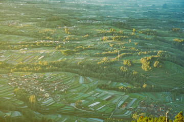 Aerial view of lush green terraced rice paddies and fields in a valley, bathed in soft sunlight.