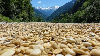Rocky valley view; snowy peaks beyond trees, blue sky above