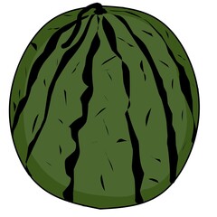 watermelon coloring book