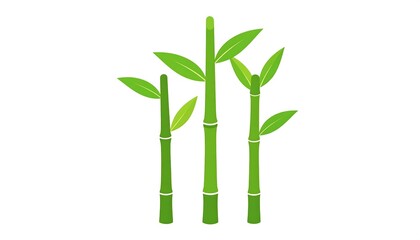 Three green bamboo stalks with leaves