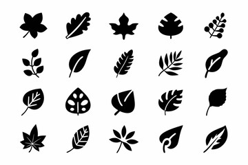 Set of different leaf silhouettes vector design