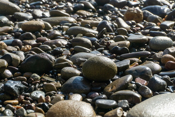 Close-Up of Wet Pebbles on California Beach