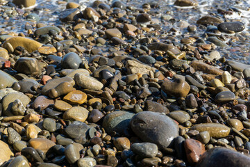 Close-Up of Wet Pebbles on California Beach
