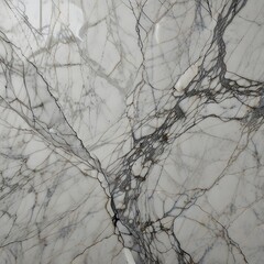 dry branches in the snow