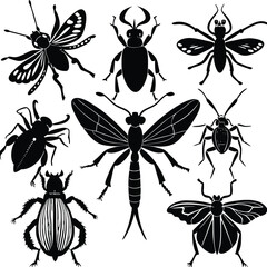 Collection of detailed vector insect illustrations for nature art and design projects isolated on white background