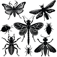 Collection of diverse insect silhouettes vector illustration scalable eps art isolated on white background