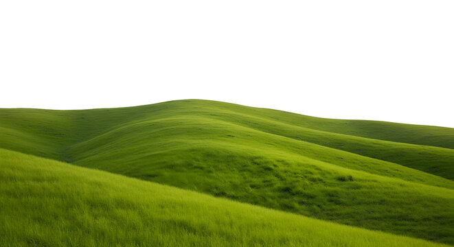 Rolling green hill slope with lush grass texture, natural outdoor landscape isolated on transparent background