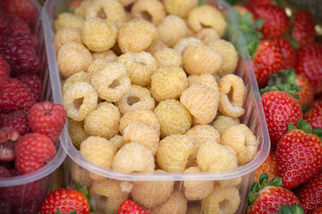 Yellow and Red Raspberries With Strawberries in Clear Containers for Market Display