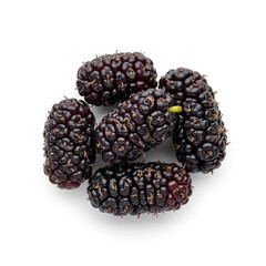 Clean Mulberry on Isolated White Background