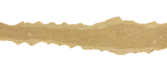 Single Torn Cardboard Strip Edge: Rough Texture Banner Element
