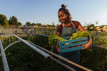 Young farmer woman carrying crate of vegetables in community garden