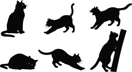 Cat silhouette sitting, stretching, walking, lying, climbing, black pet icon, feline pose, cad drawing flat vector illustration