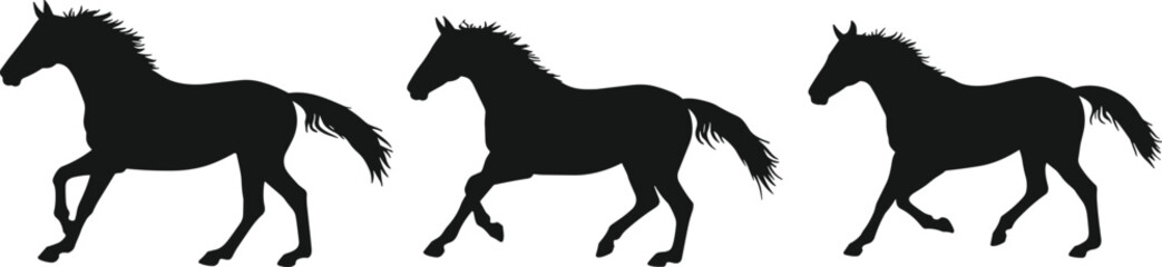 Horse silhouette running, galloping, trotting, black animal icon, dynamic motion pose, cad drawing flat vector illustration for stock design