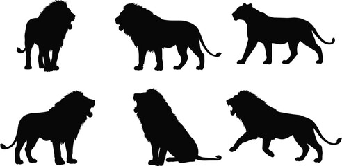 Lion and lioness silhouette vector set, wild animal poses, walking, sitting, standing, black flat cad drawing illustration artwork