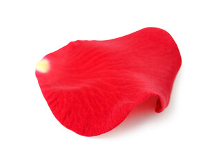 Red rose petal isolated on white background