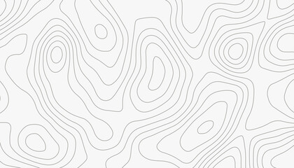 Minimal White Topographic Line Map Pattern