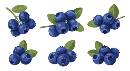Fresh blueberries are healthy and delicious packed with antioxidants and vitamins.