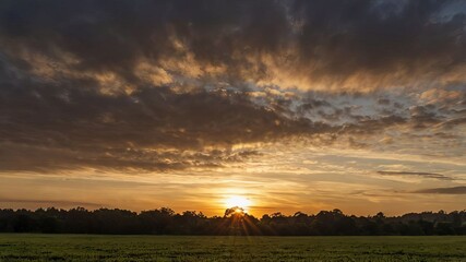 sunset over the forest 