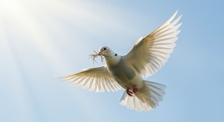 Dove in flight carrying twigs against blue sky