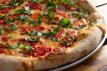 A closeup view of a rustic cheese and basil pizza.