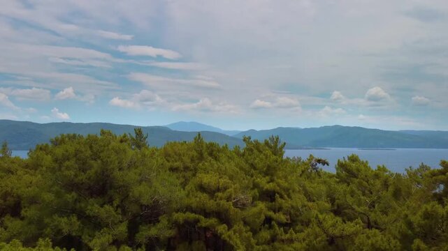 An aerial perspective reveals the dense, vibrant green pine forests of Gokova Korfezi, Turkey, stretching across the landscape beneath a soft, cloudy sky. This footage captures the natural beauty and 
