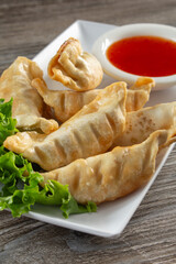 A closeup view of a plate of gyoza.