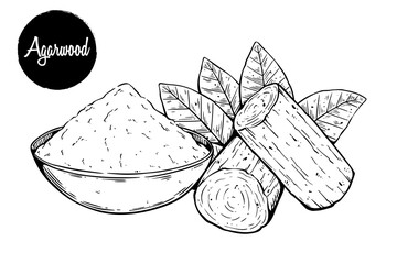 Hand-Drawn Agarwood with Leaves and Bowl Illustration. Suitable for aromatherapy themes, traditional medicine visuals