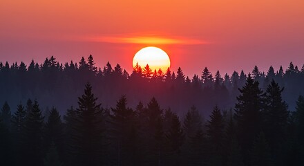 Vibrant sunset over silhouetted forest trees landscape scenic panorama