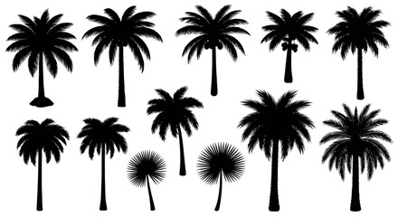 Silhouettes of various palm trees on a white background.
