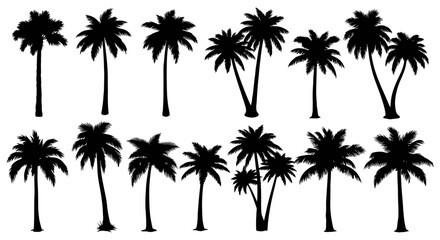Fototapeta premium A diverse collection of fourteen black palm tree silhouettes, isolated on a white background for design use.
