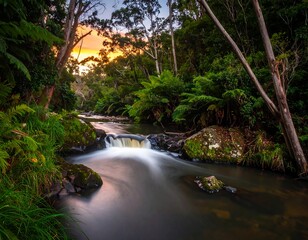 Tranquil creek at sunset